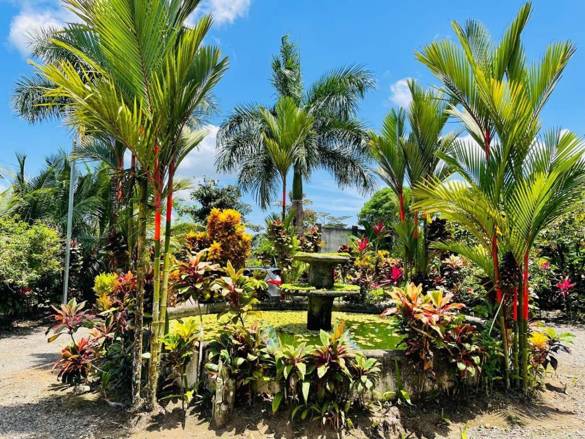 Aunty Arenal Lodge ラ・フォルトゥナ エクステリア 写真