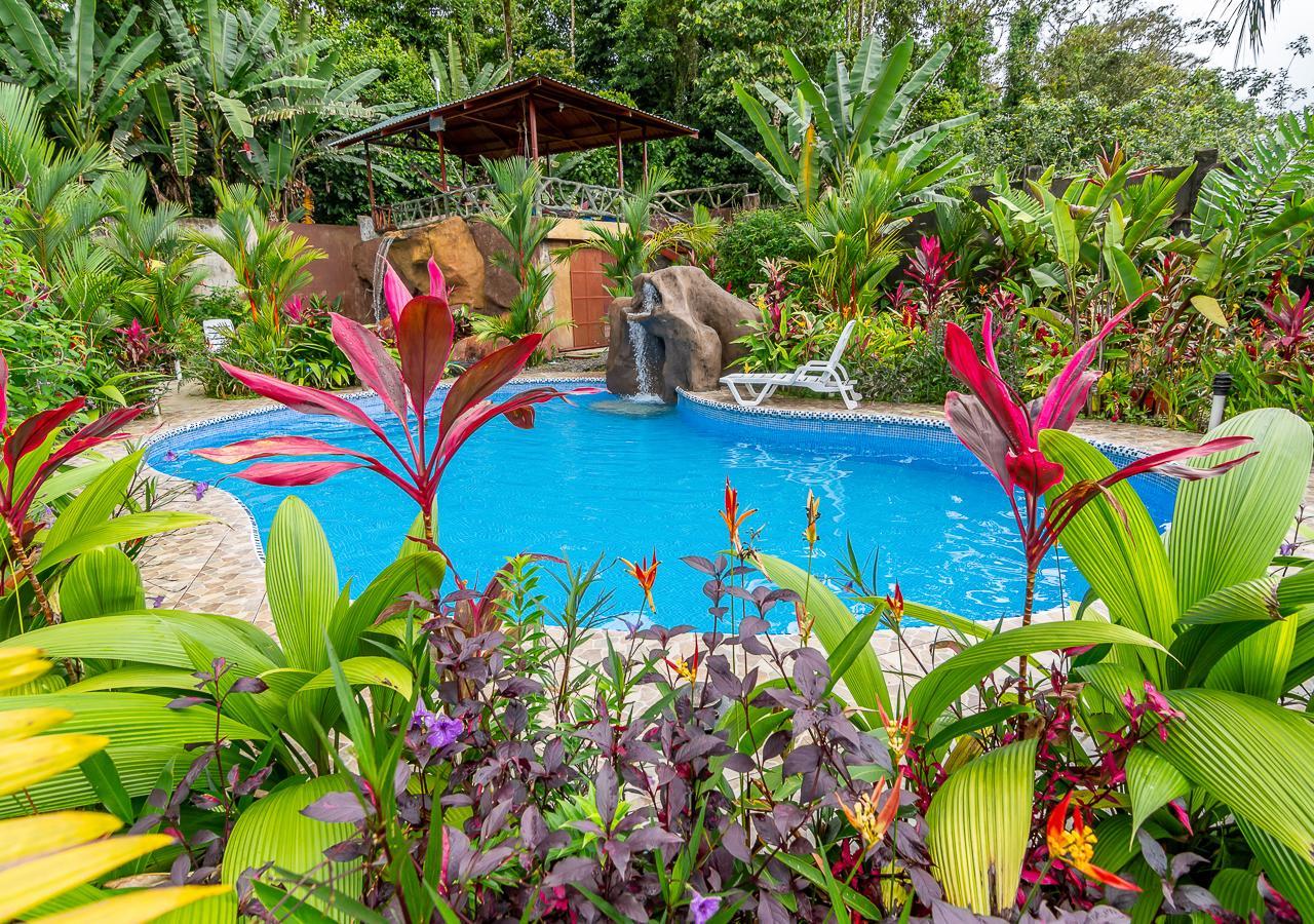 Aunty Arenal Lodge ラ・フォルトゥナ エクステリア 写真