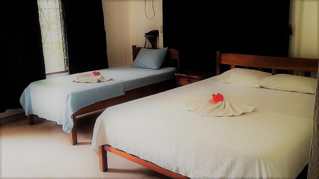 Aunty Arenal Lodge ラ・フォルトゥナ エクステリア 写真