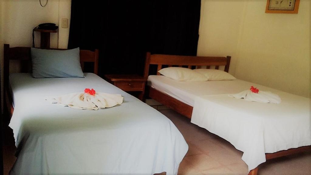 Aunty Arenal Lodge ラ・フォルトゥナ エクステリア 写真